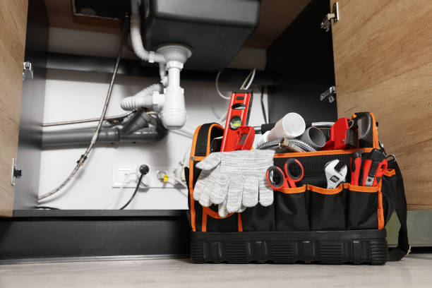 Best Toilet Repair Services  in Bagley, MN